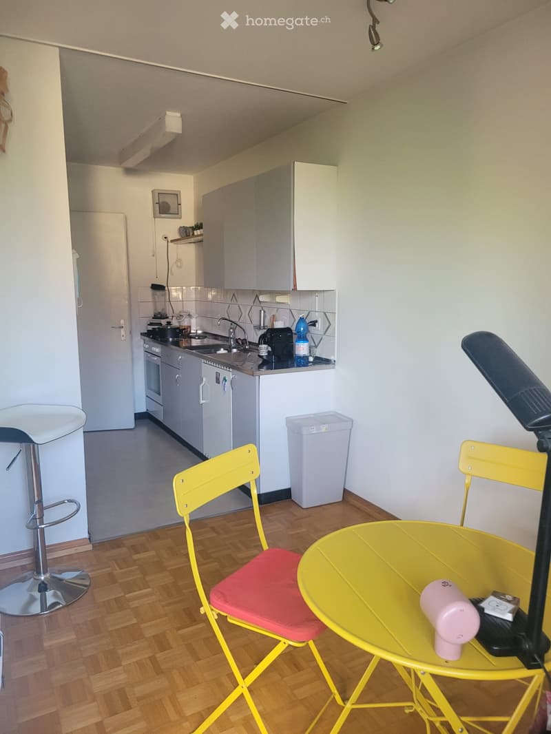 Sonnige Dachwohnung mit Chemine in Mittelhäusern (1)