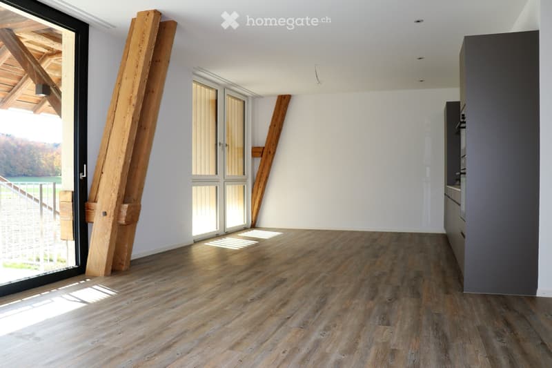 3,5 Zimmer Wohnung in renoviertem Bauernhaus auf dem Lande (2)