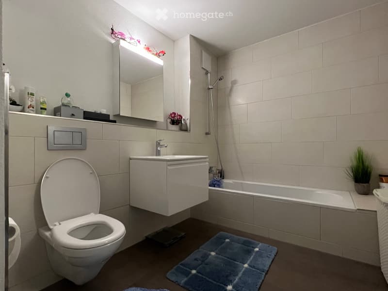 Neuwertige 2.5-Zimmerwohnung, ab sofort (3)