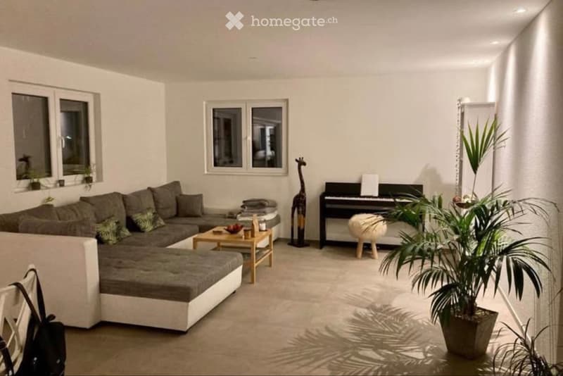 Duplexwohnung mitten in Zuchwil (2)