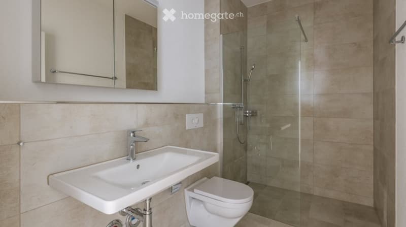 Nachmieter gesucht 4.5-Zimmer-Wohnung in Gelfingen (4)