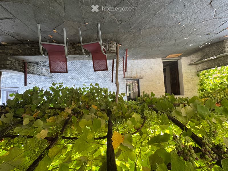 Casa ticinese completamente ammobiliata, giardino e pergola (3)