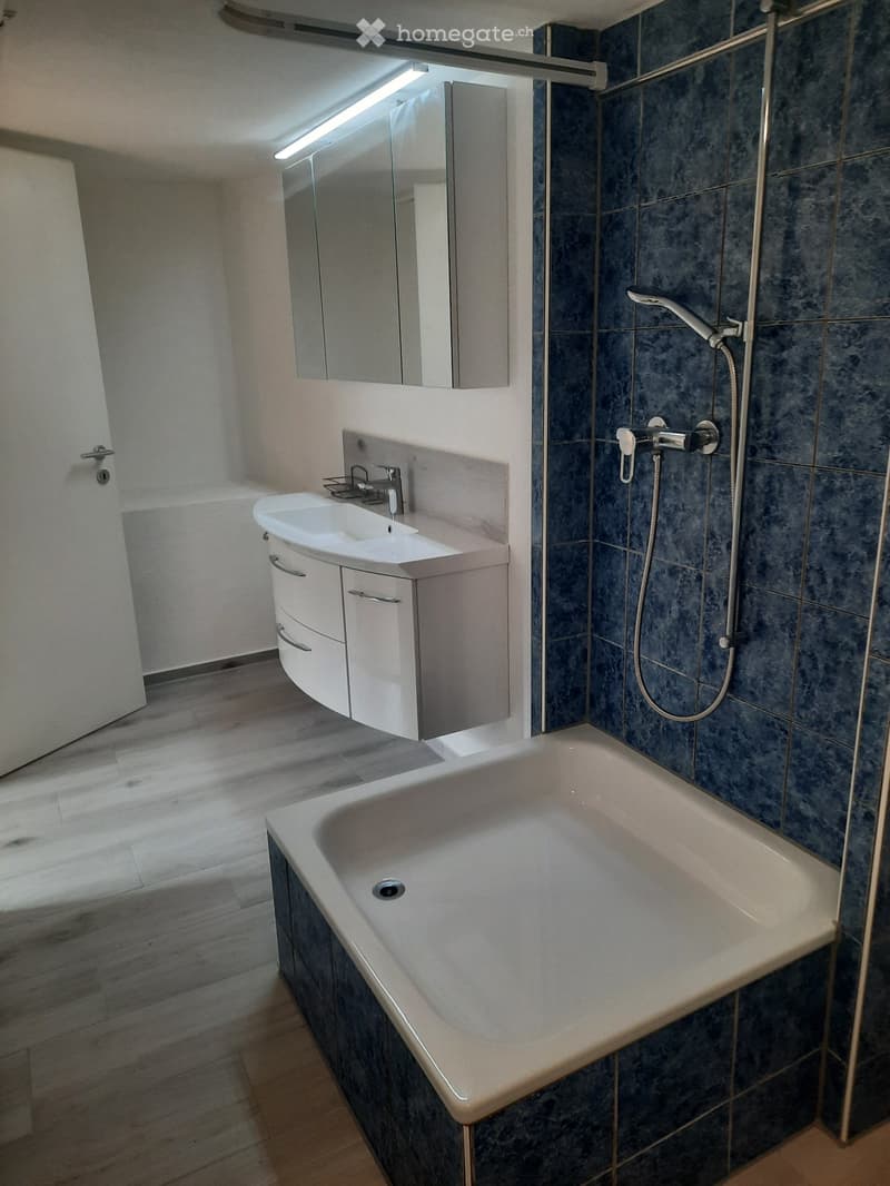 Tiny-Wohnung im Züri Oberland (4)