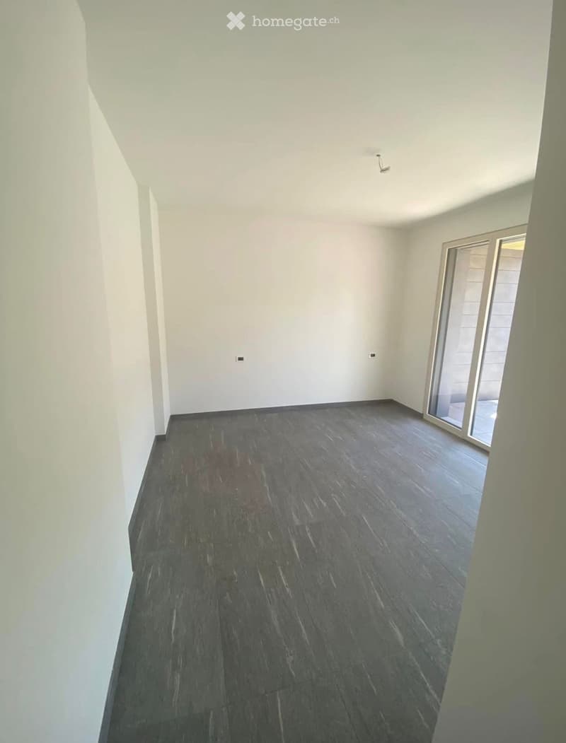 Cerco subentrante per appartamento 2.5 a Melano (4)