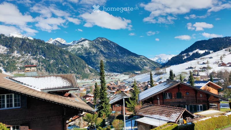 Heimelige möblierte 3½-Zimmer-Wohnung in Zweisimmen (5)