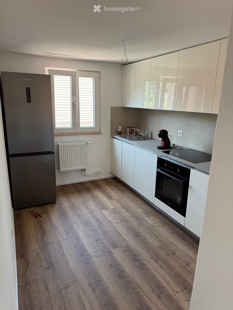 Frisch renovierte 4.5-Zimmer-Dachwohnung (5)