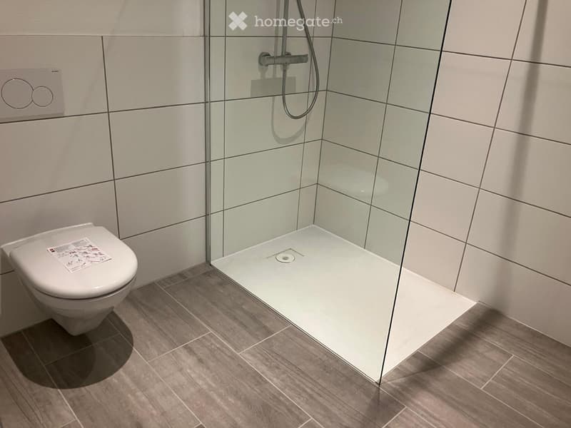 Zu vermieten schöne 3,5 Zimmer Wohnung (4)