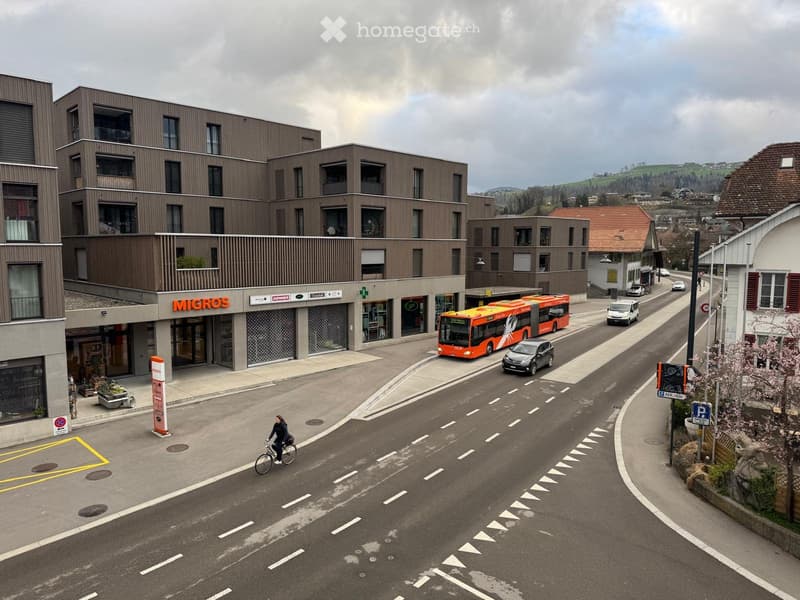 Neues, modernes Studio in an zentraler Lage in Steffisburg (5)