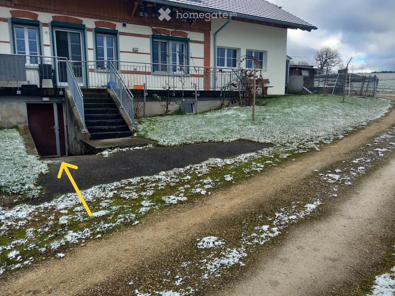 Grosser Keller/Lagerraum mit gutem Zugang (4)