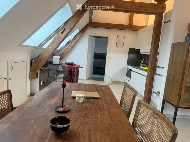 Moderne 2,5-Zimmer-Dachgeschosswohnung in Zürich-Wiedikon (1)