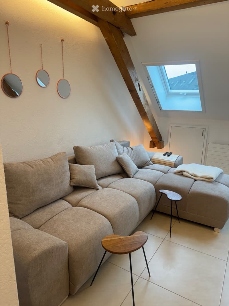 Moderne 2,5-Zimmer-Dachgeschosswohnung in Zürich-Wiedikon (5)
