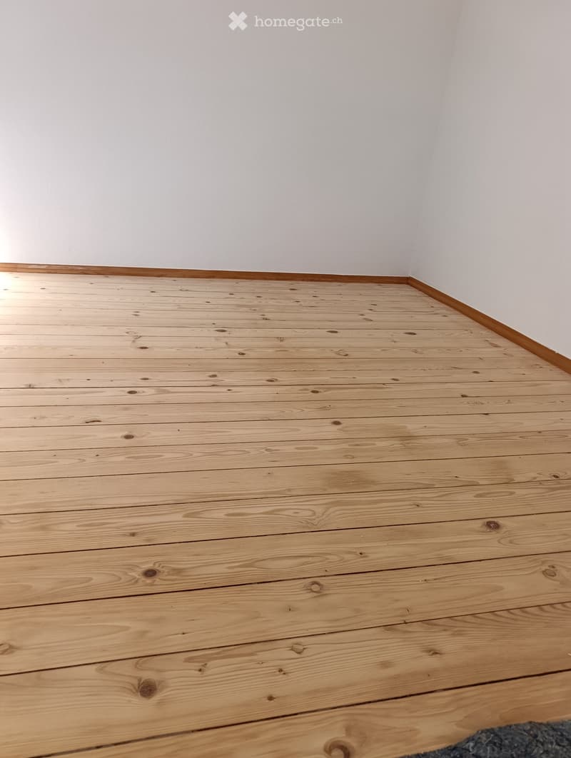 Affittasi appartamento Solduno/Locarno (5)