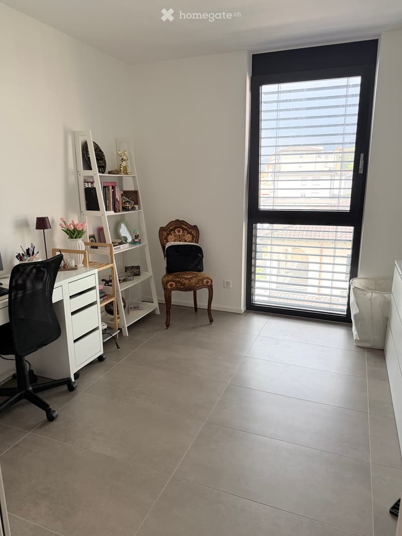 Bellissimo attico duplex 4.5 locali con grande terrazza (7)