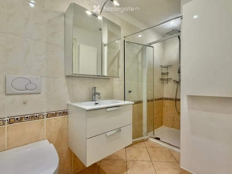 Pied-à-terre im Tessin, Nutzung als Zweitwohnsitz/Ferienhaus (5)