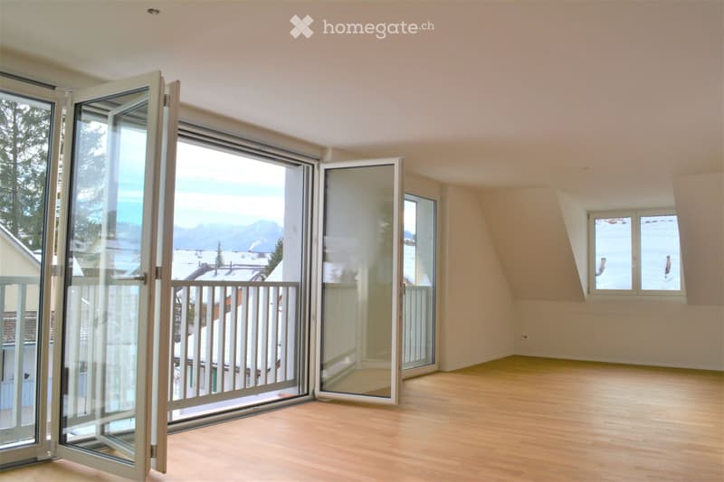 4.5 Zimmer-Wohnung, 1. Dachgeschoss (2)
