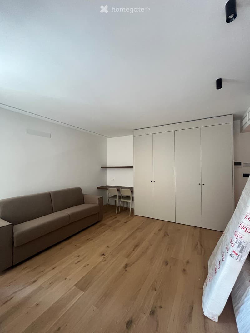 Appartamento ristrutturato/ammobigliato, Cassarate, 1.5 loc (5)