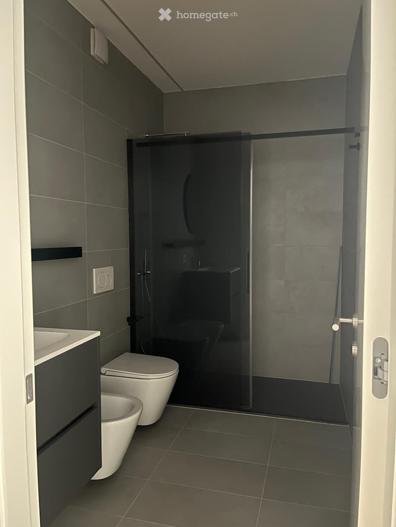 Appartamento ristrutturato/ammobigliato, Cassarate, 1.5 loc (2)