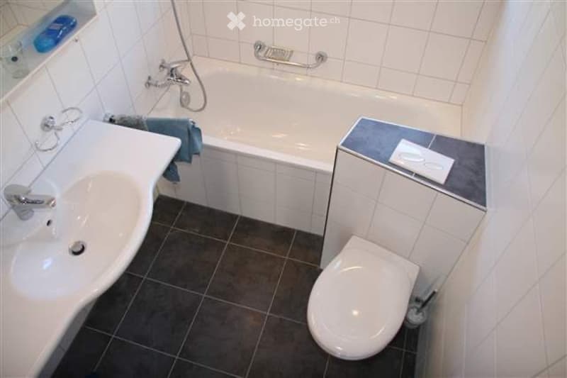 Moderne 4.5 Zi. Wohnung mit Gartensitzplatz, sonnige Lage (4)