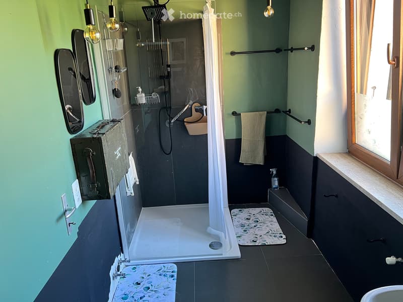 Ascona, bellissimo e grande duplex in subaffitto (5)