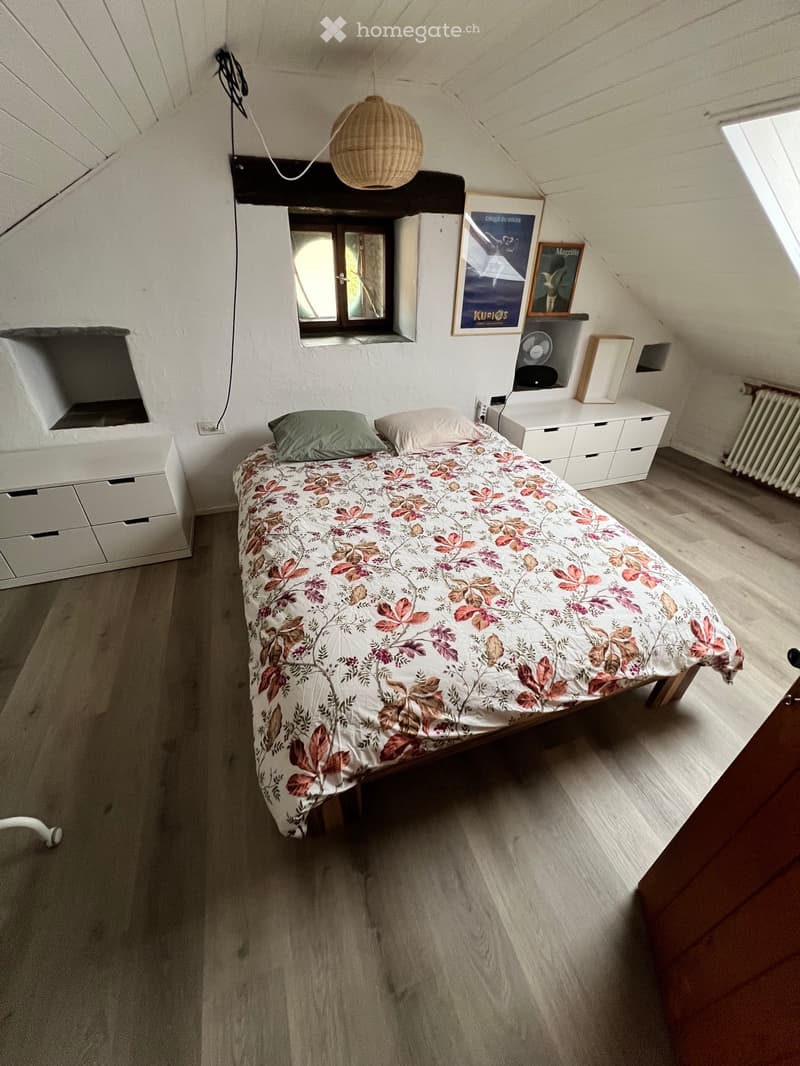 Ascona, bellissimo e grande duplex in subaffitto (3)
