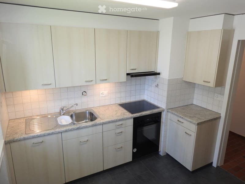 4.5 Zimmer Altwohnung (4)