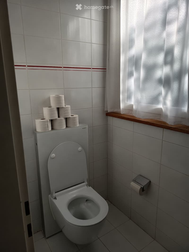 Schöne 1,5-Zimmerwohnung im Erdgeschoss an der Aare (3)