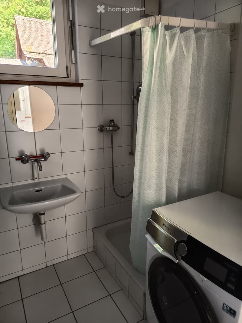 Schöne 1,5-Zimmerwohnung im Erdgeschoss an der Aare (4)