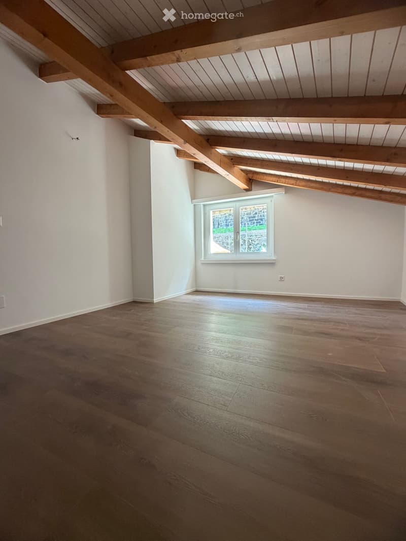 Ampio appartamento duplex 4.5 locali a Magadino (5)