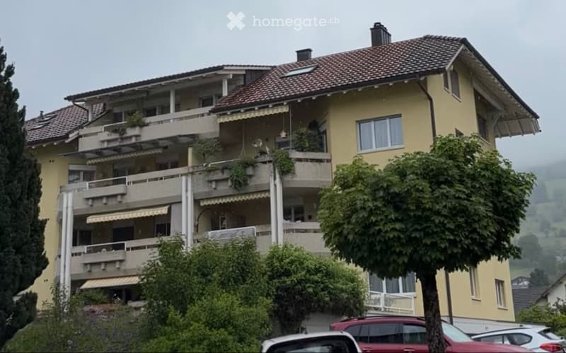 Attraktive 3,5 Zi-Wohnung, kürzlich renoviert (1)