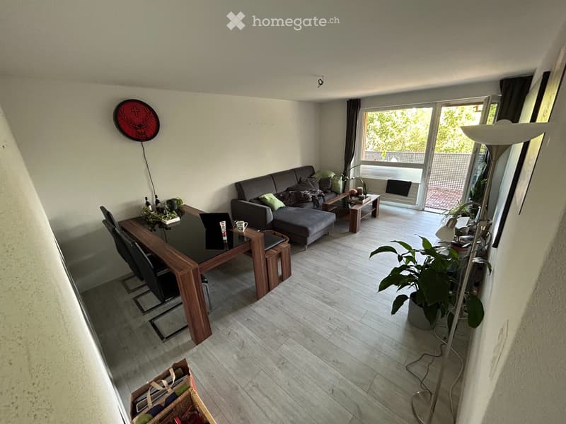 Ruhige 3 ½ Zimmer-Wohnung in Reuss-Nähe (2)