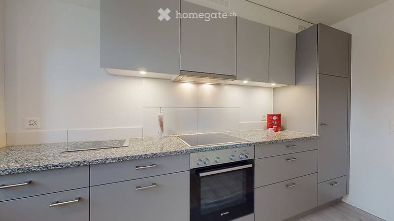 Ruhige 3 ½ Zimmer-Wohnung in Reuss-Nähe (3)