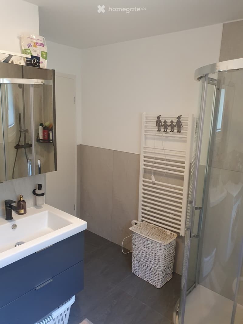 Affittasi appartamento 2.5 locali con giardino (7)