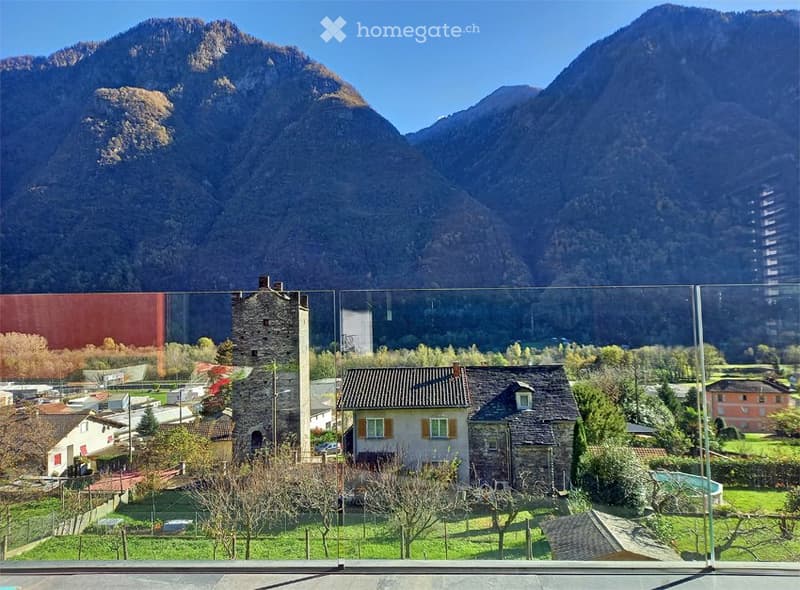 Affittasi appartamento 2.5 locali con giardino (10)