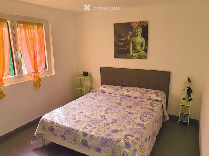 Affittasi appartamento 2.5 locali con giardino (5)