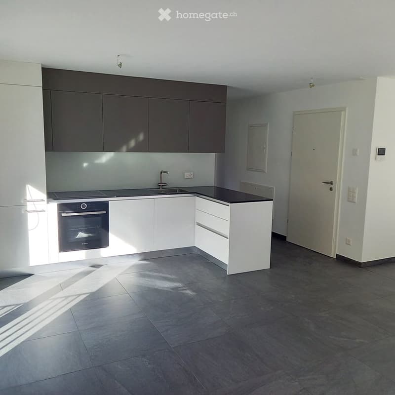 Affittasi appartamento 2.5 locali con giardino (3)