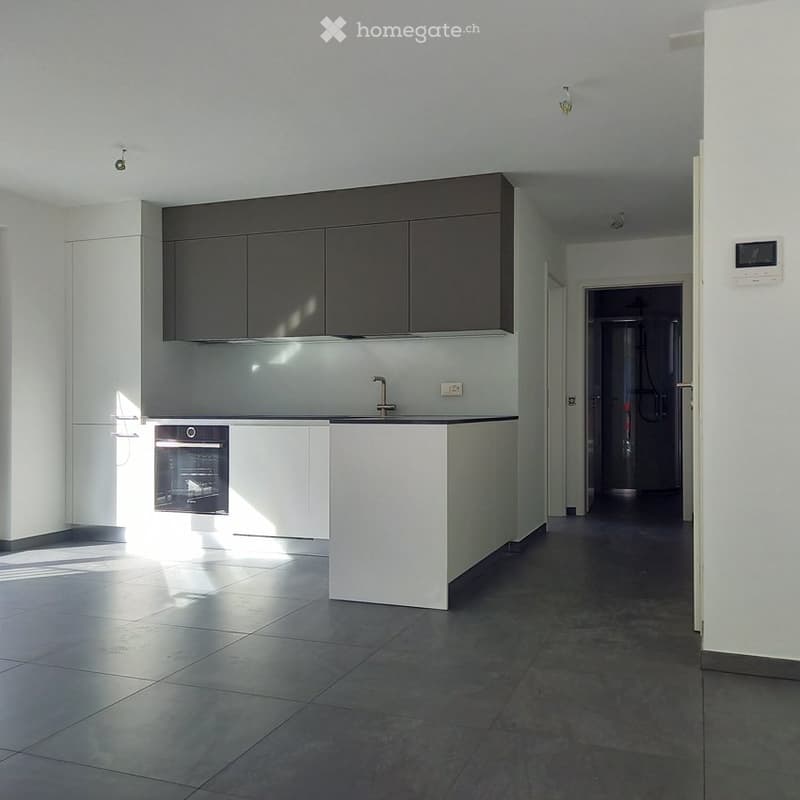 Affittasi appartamento 2.5 locali con giardino (2)