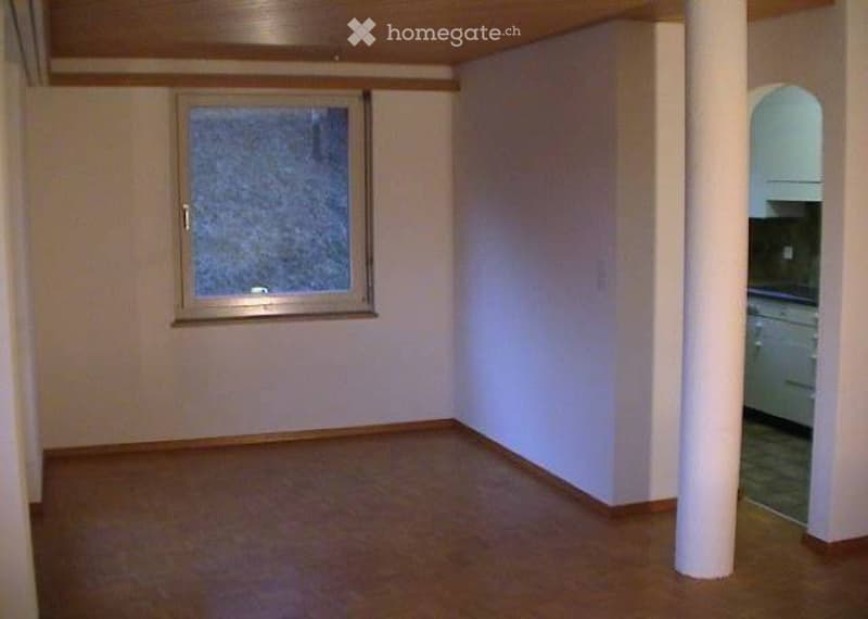 Ideale 2.5 Zimmer Single Wohnung (3)