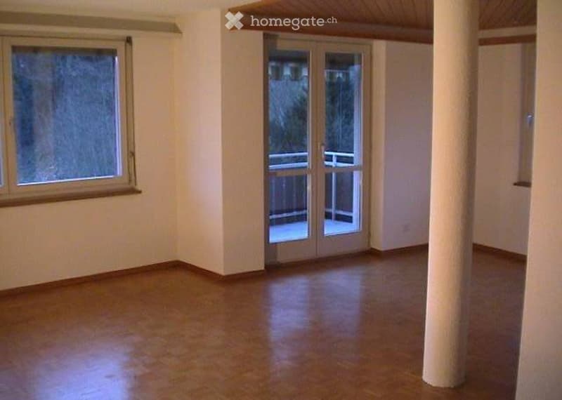 Ideale 2.5 Zimmer Single Wohnung (5)
