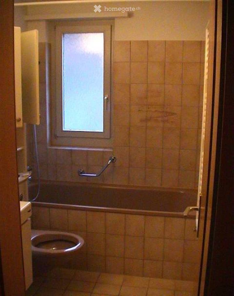 Ideale 2.5 Zimmer Single Wohnung (2)