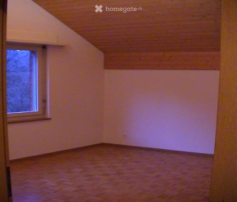 Ideale 2.5 Zimmer Single Wohnung (4)
