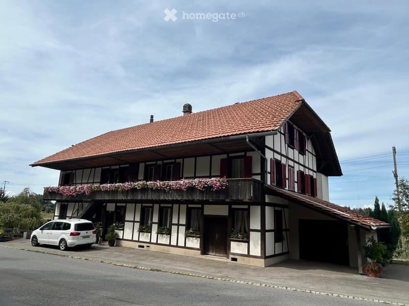 Grosszügige 5,5-Zimmerwohnung in Mittelhäusern (1)