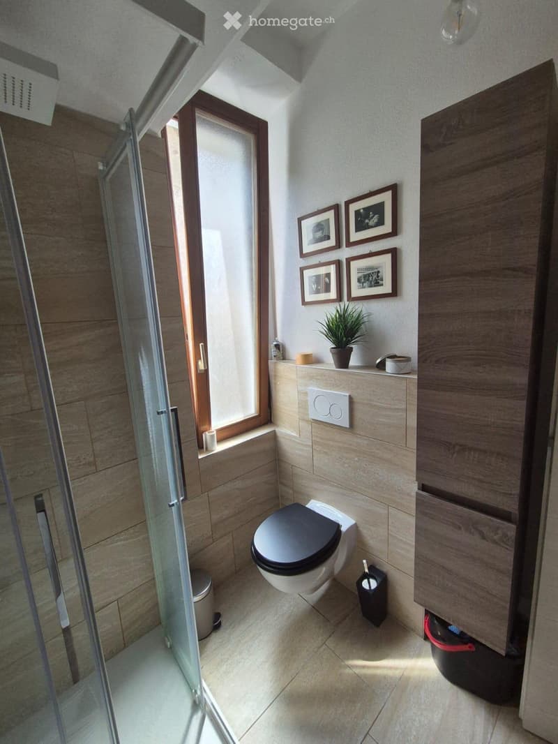 Ampio monolocale arredato a Massagno (4)