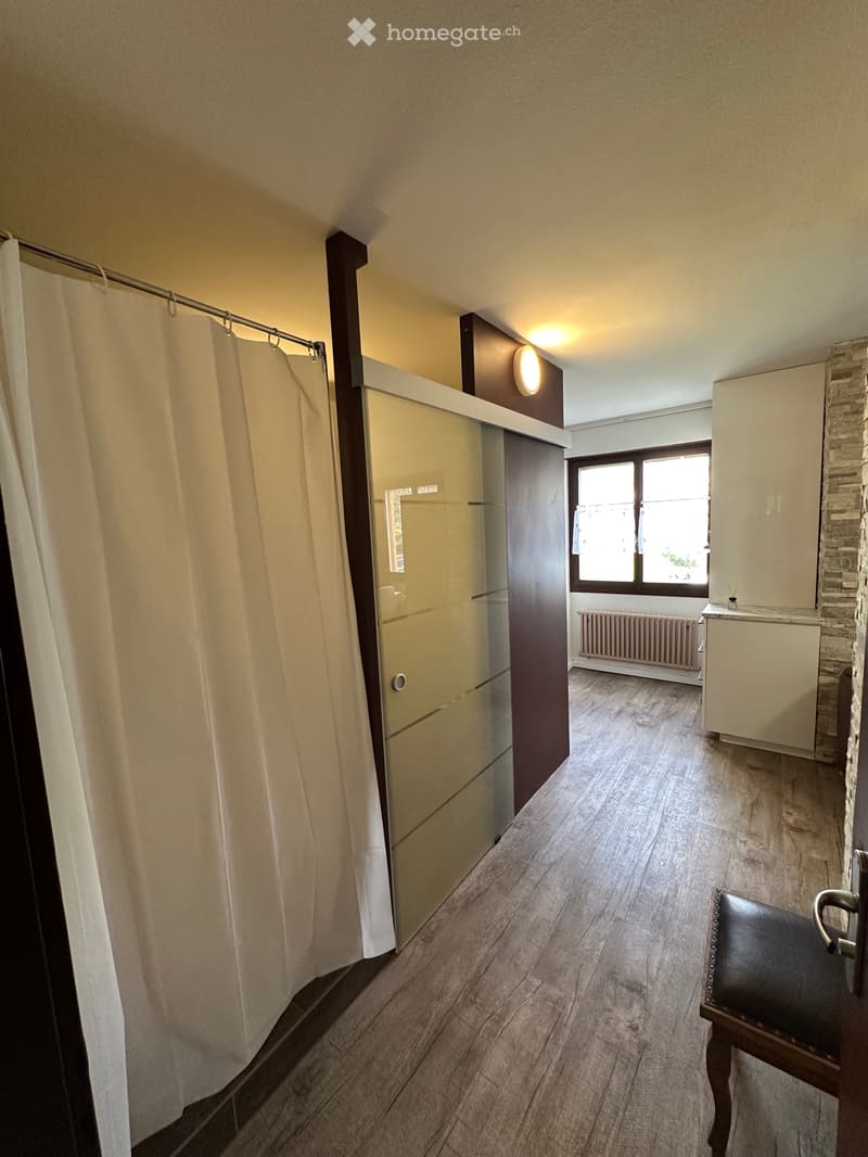 Studio Arosa (6)