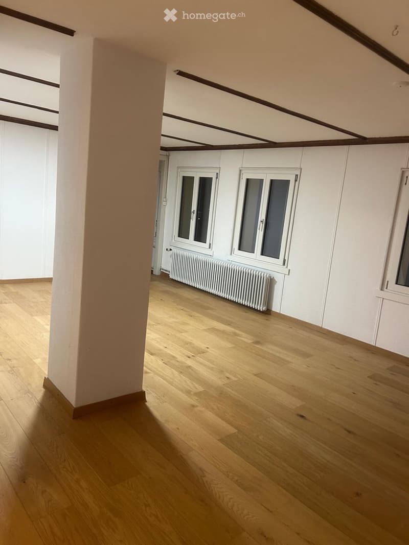 Spezielle 3 ½ Zi Wohnung im OG (4)