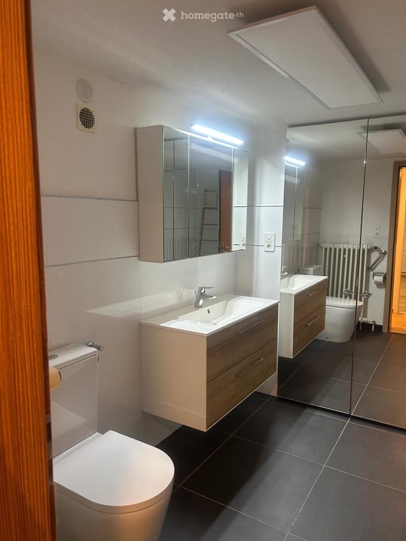 Spezielle 3 ½ Zi Wohnung im OG (3)