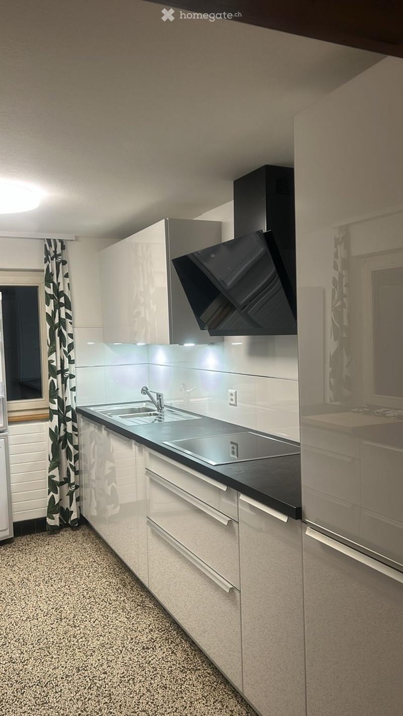 Spezielle 3 ½ Zi Wohnung im OG (2)