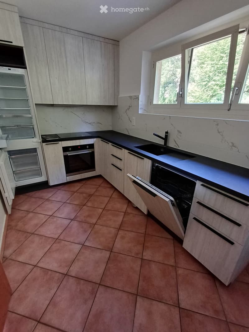 Grande 4,5 con giardino ideale per famiglia (2)