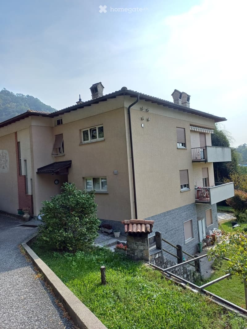 Grande 4,5 con giardino ideale per famiglia (1)