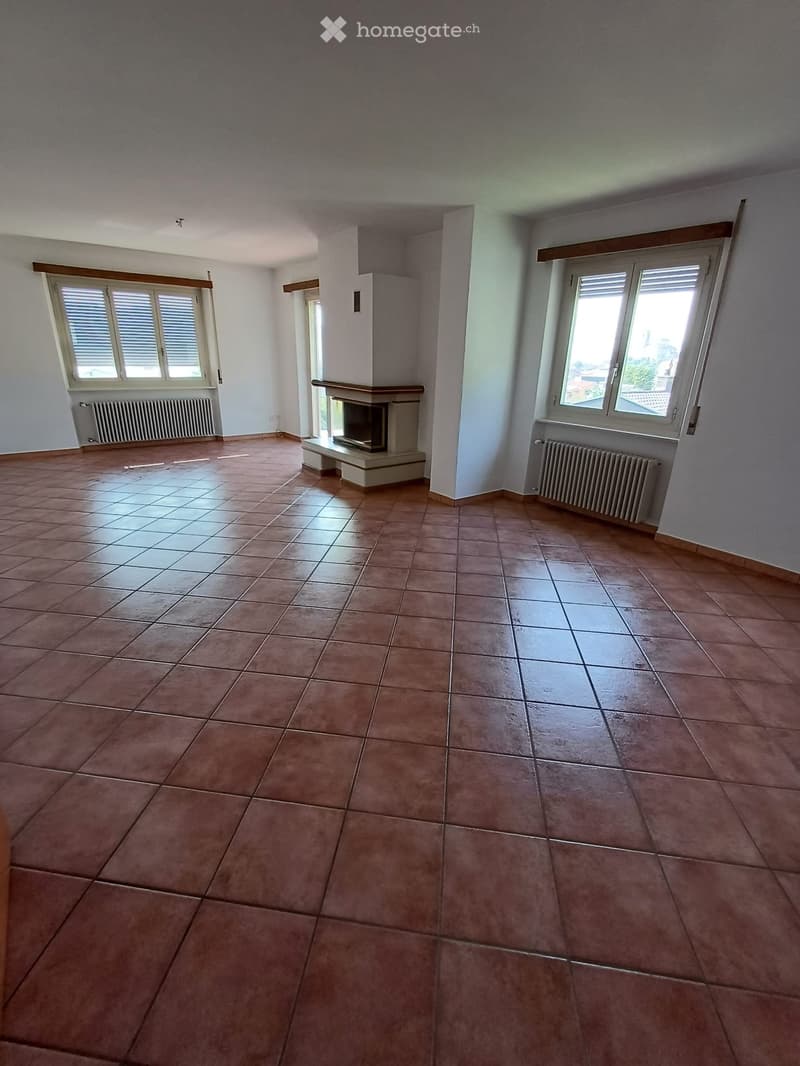 Grande 4,5 con giardino ideale per famiglia (3)