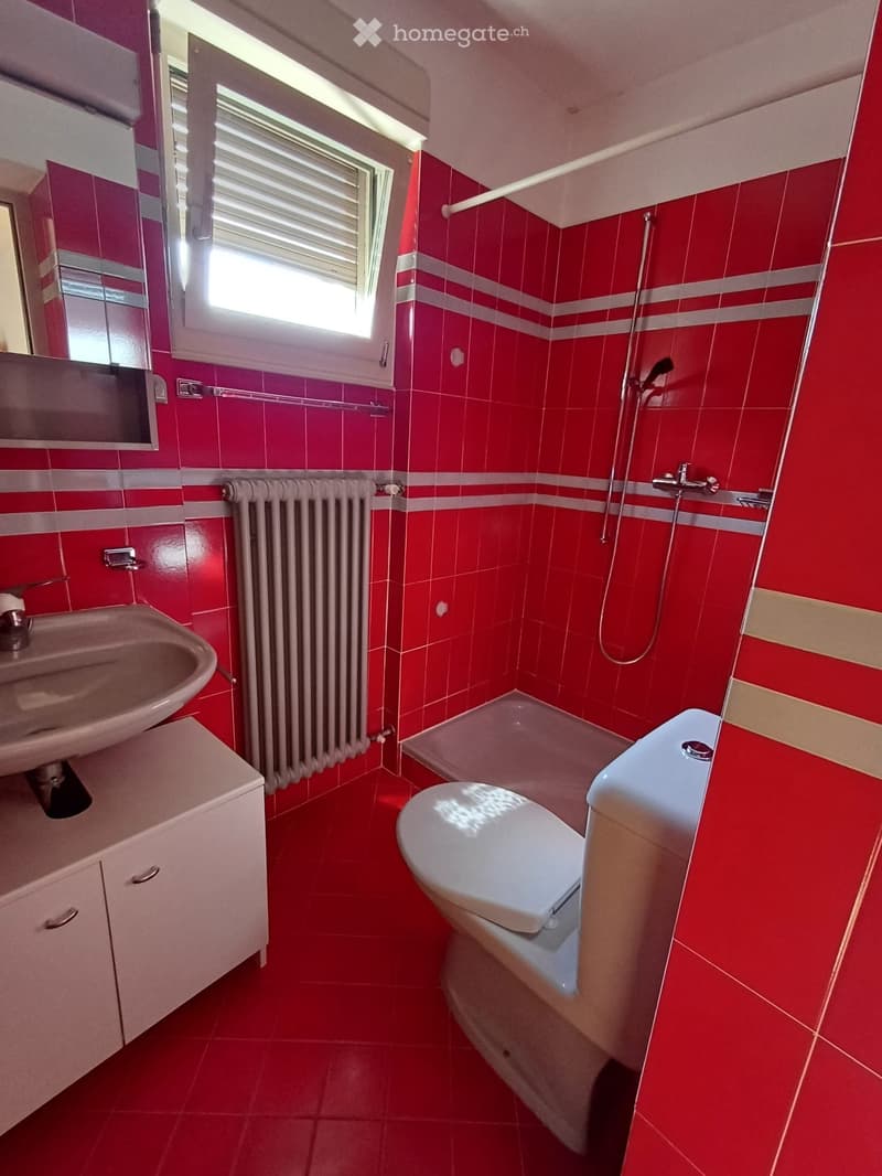 Grande 4,5 con giardino ideale per famiglia (5)